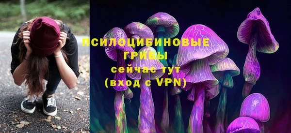 mix Переславль-Залесский
