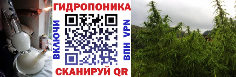 Канабис Bruce Banner Спас-Деменск